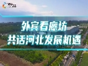 2025世界跨境电商发展大会：外宾共话河北发展机遇