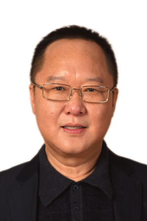 王君鹏