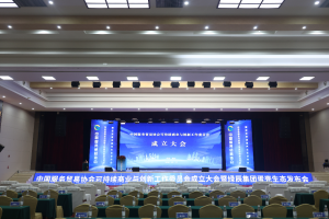 中国服务贸易协会可持续商业与创新工作委员会 成立大会成功举办